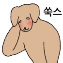 멍구르르 이미지