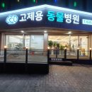 강원동물병원 이미지