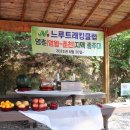 홍지마을회관 이미지