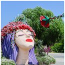 2025. 05. 22[목요일] 제 159차 전남 곡성 세계장미축제 트레킹 이미지