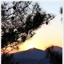 대성쌀집 이미지