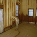 화이트폼 이미지