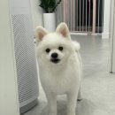 이뻐질개 이미지