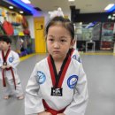 아이펀키즈태권도 이미지