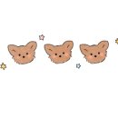 영신타올 신영수건