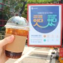 진솔주
