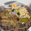 거성푸드 유한회사 이미지