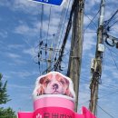 몽쁘띠끄 이미지