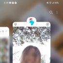 플로르현