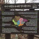 봉암리 할머니 이미지