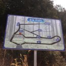 편백숲황토팬션 이미지