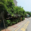 향교말길 Daum카페