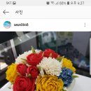 보곤다 이미지