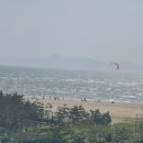 산호탕 이미지