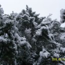 오늘도 아름답개 이미지