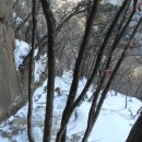 삼거리골재 Daum카페
