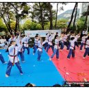 중앙태권스쿨 이미지