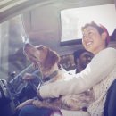 반려동물관리사과정 이미지