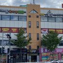 브레인박사태권도 이미지