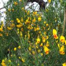 한걸음가게 이미지