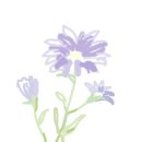 도성공인중개사사무소 이미지