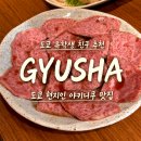 부촌갈비 | 도쿄 유학생 친구 추천 야키니쿠 맛집 GYUSHA 특상갈비 대창 후기