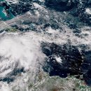 Surfing ma 이미지