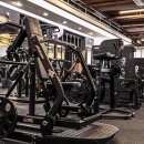 짐 코리아 이미지