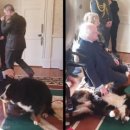 (주)도그아일랜드 이미지