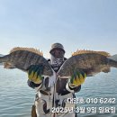 영등라인1 이미지