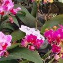 경화시장 이미지