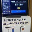 거북이의 꿈 이미지