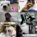 경선농장 이미지