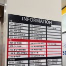 비룡로180 | 마석 미용실 휴이엠헤어에서 얼룩덜룩한 머리 염색 후기