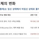 리라동물병원 | 연수교육(2) : 임신/수유부의 약물검토