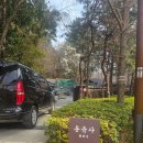 용소웰빙공원 티스토리