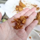 부산통닭 이미지