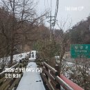 무릉도원면-51 이미지