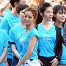 이그나이트 이미지