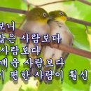 수영숯불갈매기 이미지