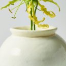 달의케이크 이미지