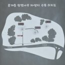 제주 봉개동 왕벚나무 자생지 | 제주 봉개동 왕벚나무 자생지