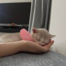 이덕순 | 먼치킨 덕순이 성장일지 9/13 ~ 9/17