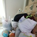 더드림마켓 이미지