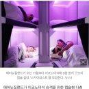 飛行機 寢臺칸 이미지