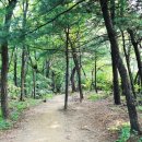 서울누비 이미지