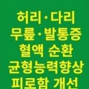 슈올즈구로
