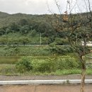 금수강산문화공원야영장(3) 네이버블로그