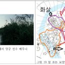 별씨네