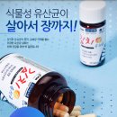 김치 생유산균 바이오캡슐 - 쾌변, 디톡스, 여드름, 비염, 아토피 치료 등 강력한 슈퍼유산균 이미지